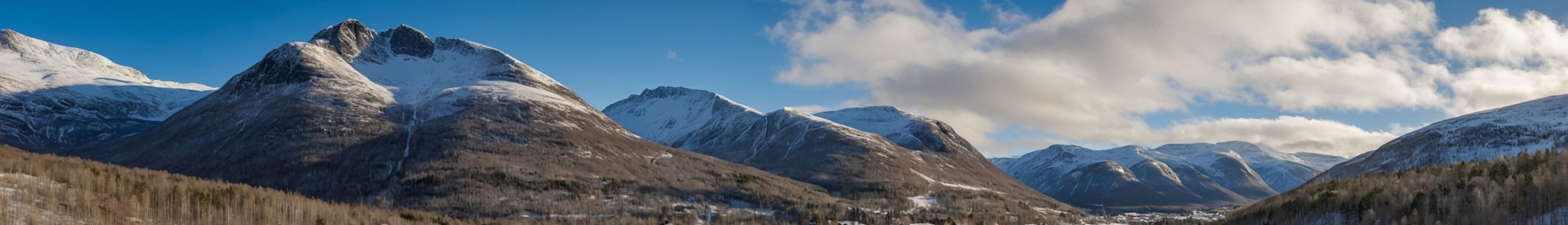 Banner_Hemsedal_2.jpg