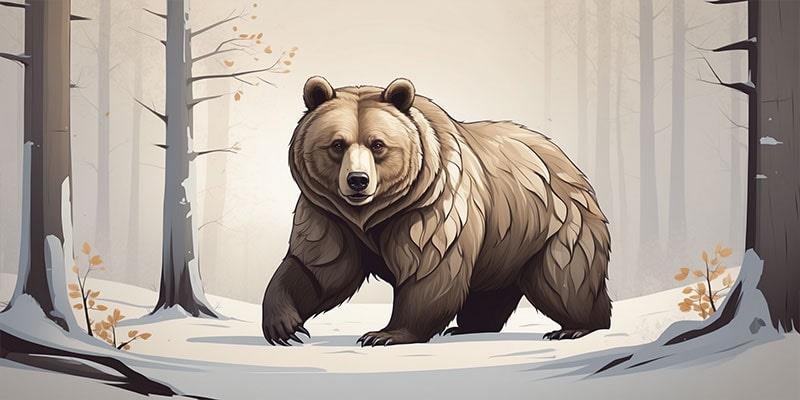 800_400_Bear_02-min.jpg